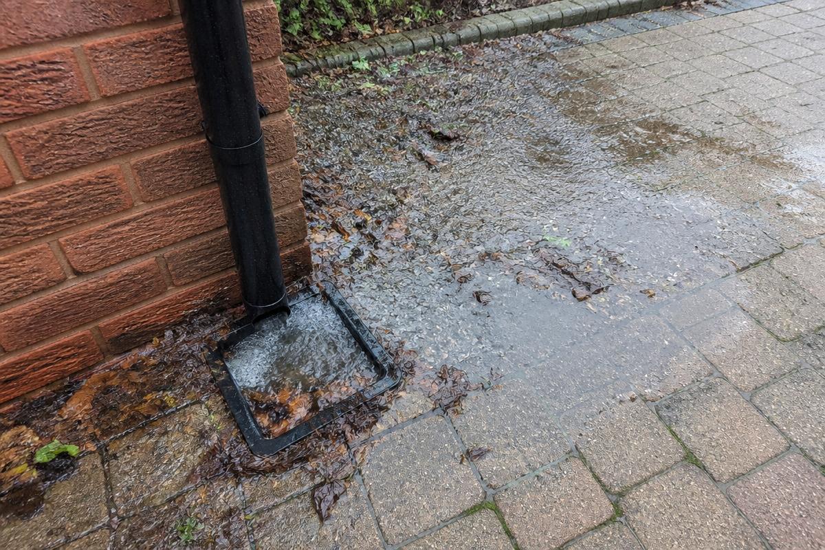 Blocked outside drain overflowing with leaves and dirty water before cleaning
